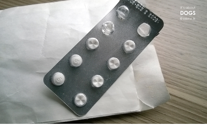 Prednisolon 5mg hund bestellen