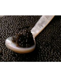 Probierset 6x30g Stör-Kaviar, 4 Perlmuttlöffel gratis
