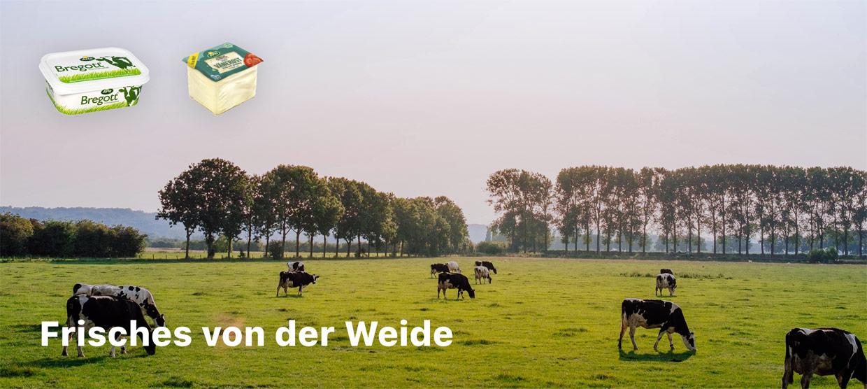 Bregott, Smör, Filmjölk, leckere Joghurts und große Auswahl an Käse. Die Milch kommt garantiert von schwedischen Bauernhöfen.